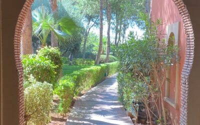 The Value of Internal Family Systems Therapy